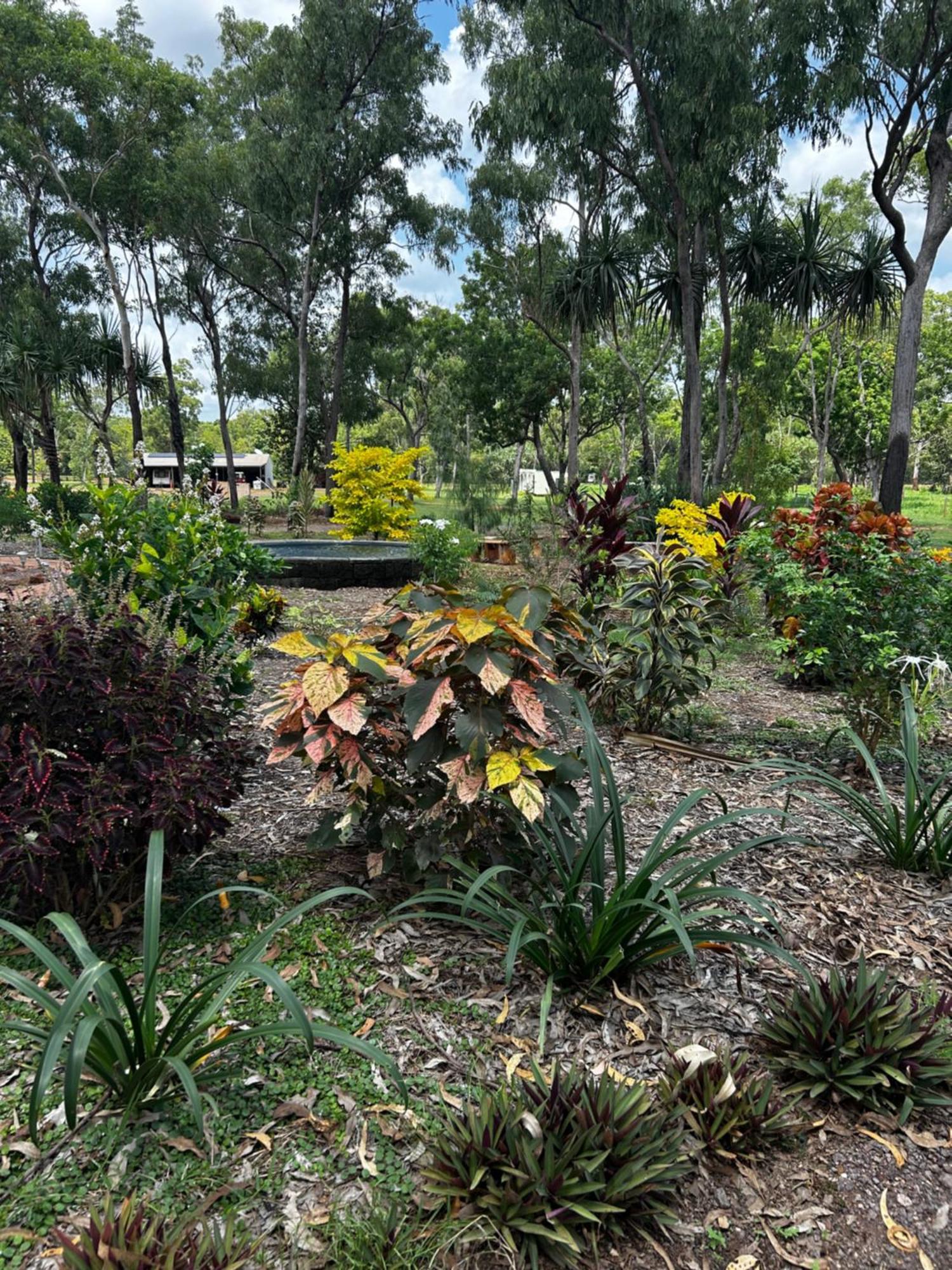 Litchfield Tropical Stay Batchelor Exteriér fotografie