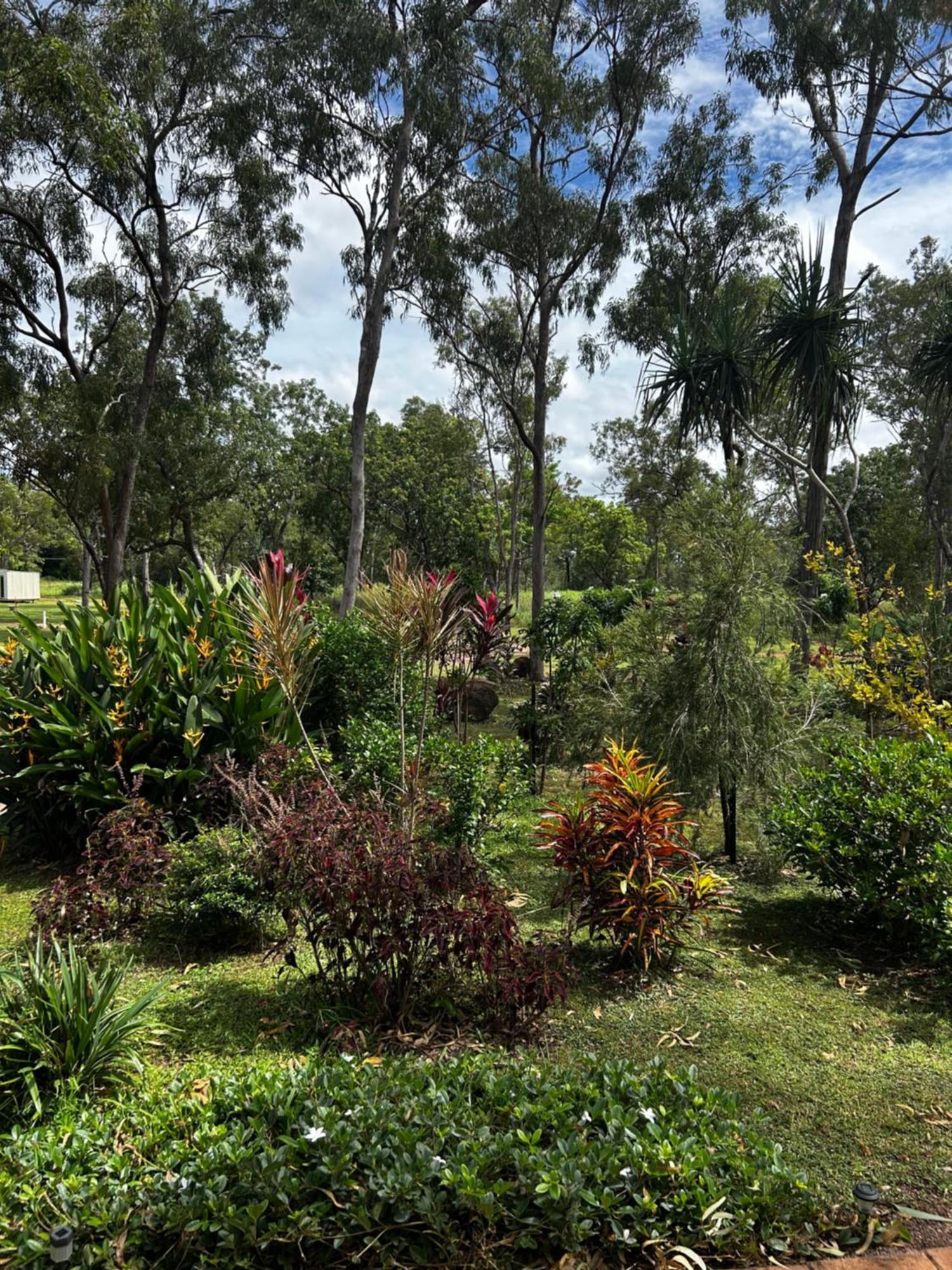 Litchfield Tropical Stay Batchelor Exteriér fotografie