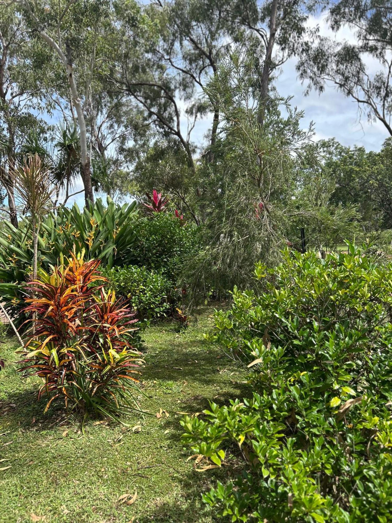 Litchfield Tropical Stay Batchelor Exteriér fotografie